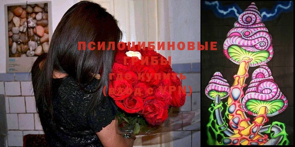 ECSTASY Абинск