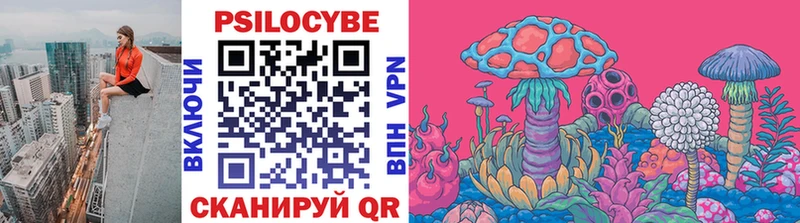shop Telegram  ОМГ ОМГ зеркало  Западная Двина  Псилоцибиновые грибы мицелий 